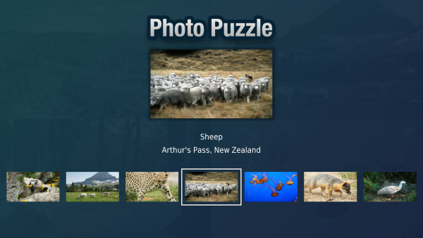 Photo Puzzle - Image 3
