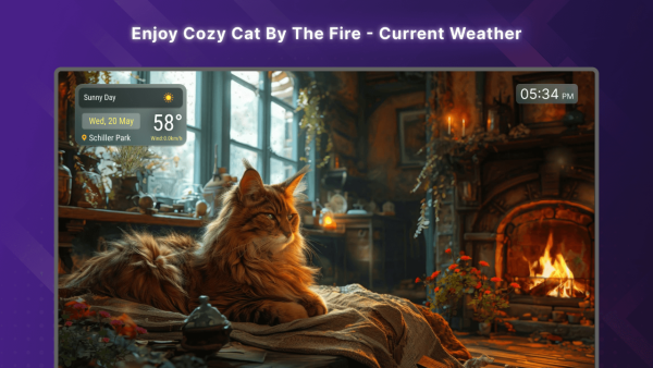 Fireplace Cozy Cat Screensaver - Image 2