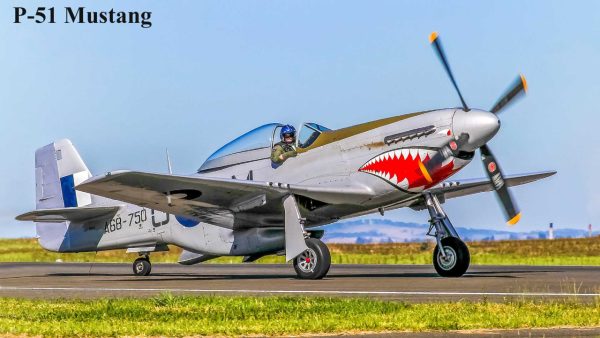 WW2 Aircraft - Image 3