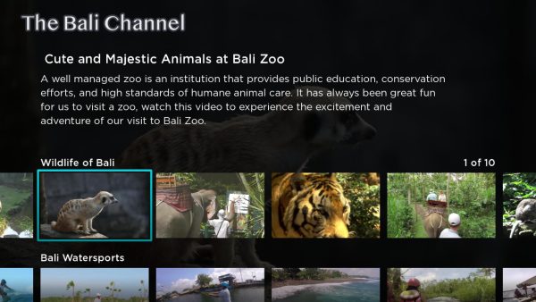 The Bali Channel - Image 2