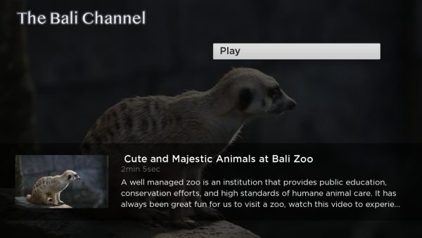 The Bali Channel - Image 3