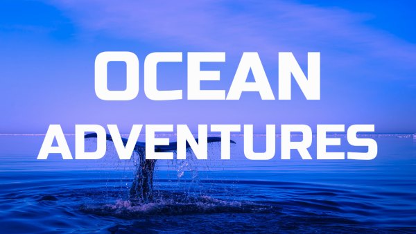Ocean Adventures - Image 2
