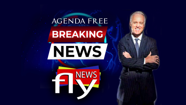 News Fly - Image 3