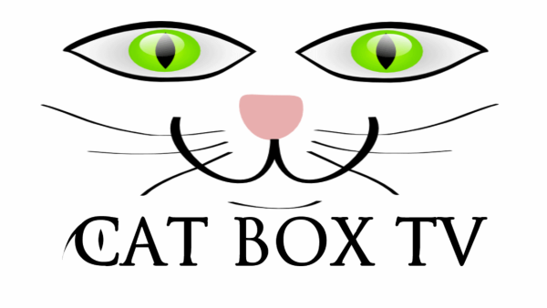 Cat Box TV - Image 2