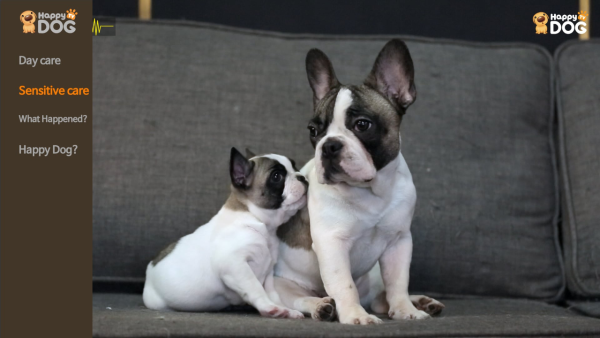 Happy Dog TV - Image 3