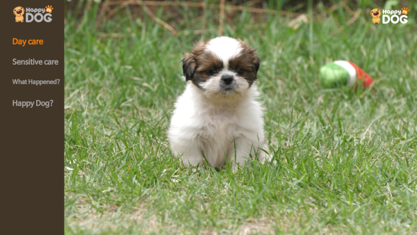 Happy Dog TV - Image 2