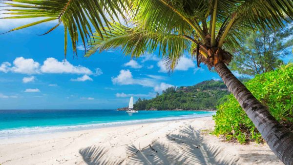 Beach Screensaver - Image 2