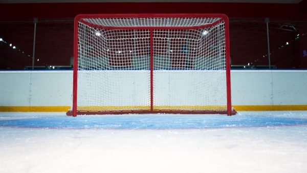 Hockey Screensaver - Image 2