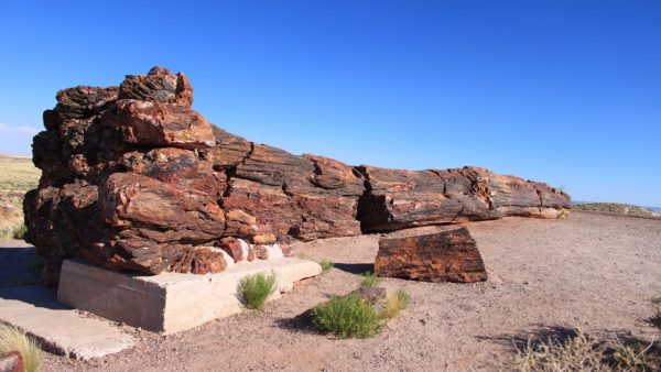 Petrified Forest Screensaver - Image 2