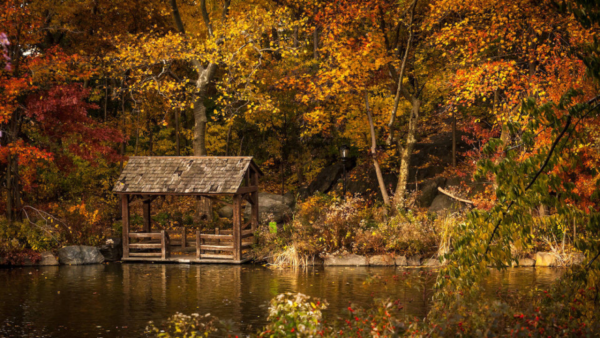 Fall - Image 3