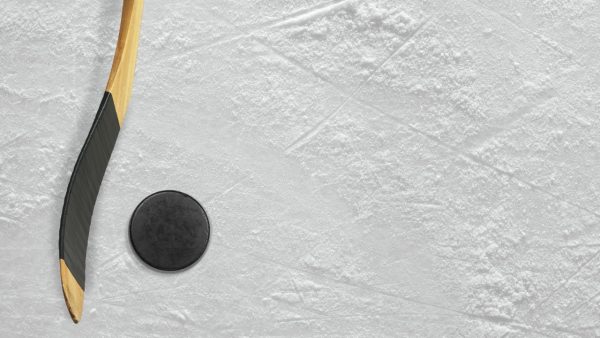 Hockey Screensaver - Image 3