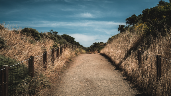 Fences - Image 2