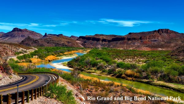 Texas USA - Image 2