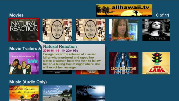 All Hawaii TV - Image 2