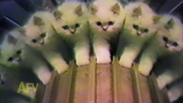 AFV Clips - Free Funny Videos - Image 3