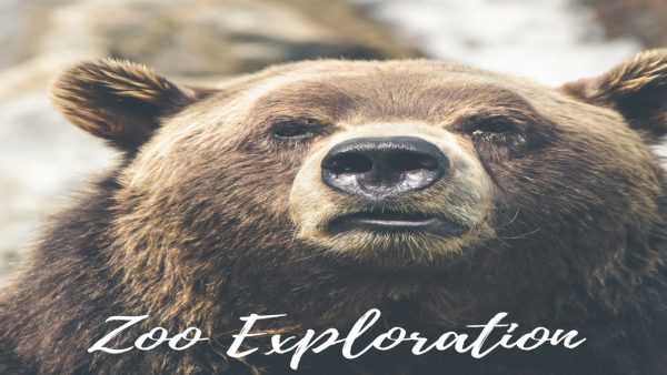 Zoo Exploration TV - Image 2