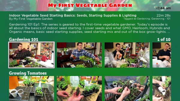 My First Vegetable Garden - Image 3