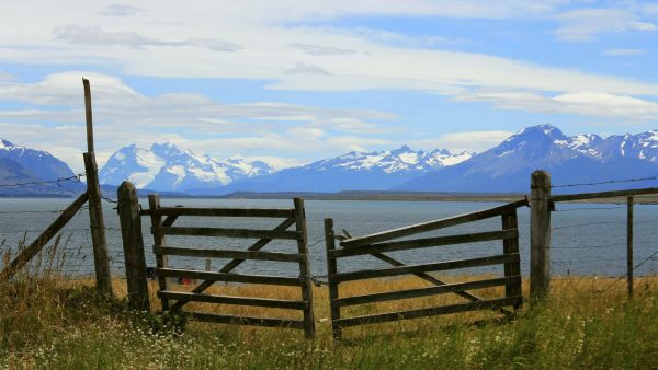 Chile Screensaver - Image 3