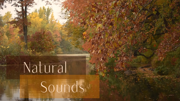 Cozy Autumn - Image 3