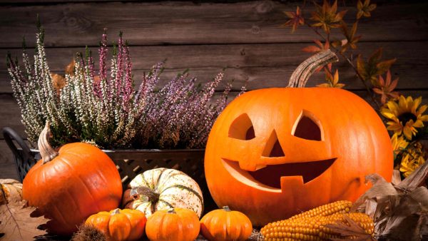 Jack-O-Lanterns Screensaver - Image 2