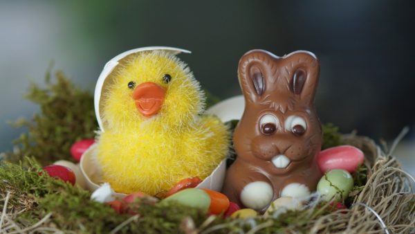 Easter Bunnies and Chicks - Image 3