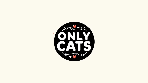 Only Cats - Image 2
