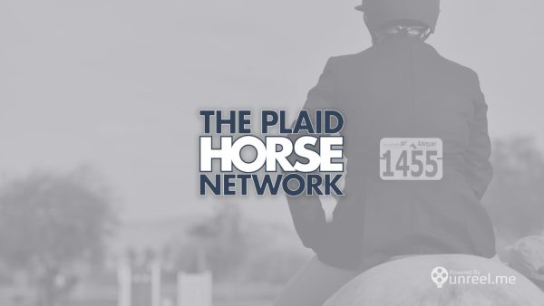 The Plaid Horse - Image 2