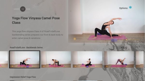 Gayatri Yoga - Image 3