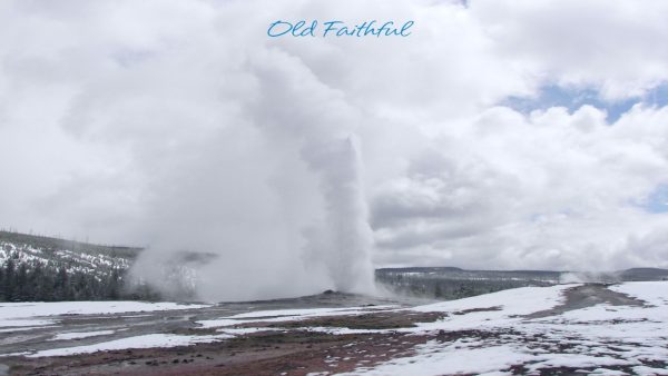 Yellowstone Screensaver - Image 2