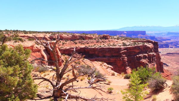 Canyonland Screensaver - Image 3