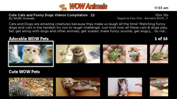 WOW Animals - Image 3