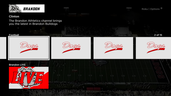 Brandon Bulldogs Athletics - Image 2