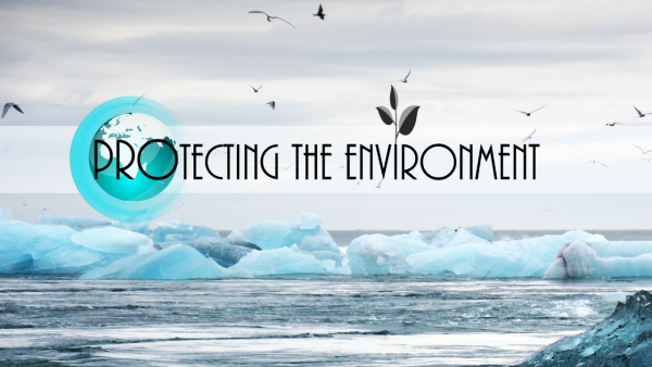 Protecting The Environment - Image 2