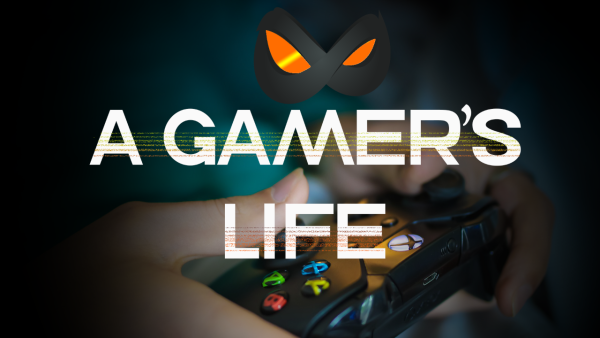 A Gamer's Life - Image 2