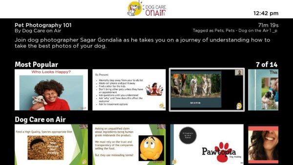 Dog Care on Air - Image 3