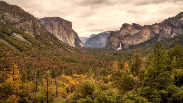 Yosemite Screensaver - Image 2